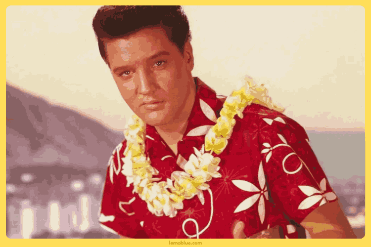 Lirik lagu Elvis Presley Can't Help Falling in Love menyampaikan betapa dalamnya rasa cinta