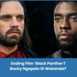 penjelasan ending film Black Panther