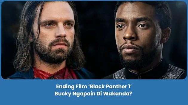 penjelasan ending film Black Panther