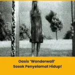 makna lagu oasis wonderwall
