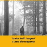 makna lagu taylor swift august