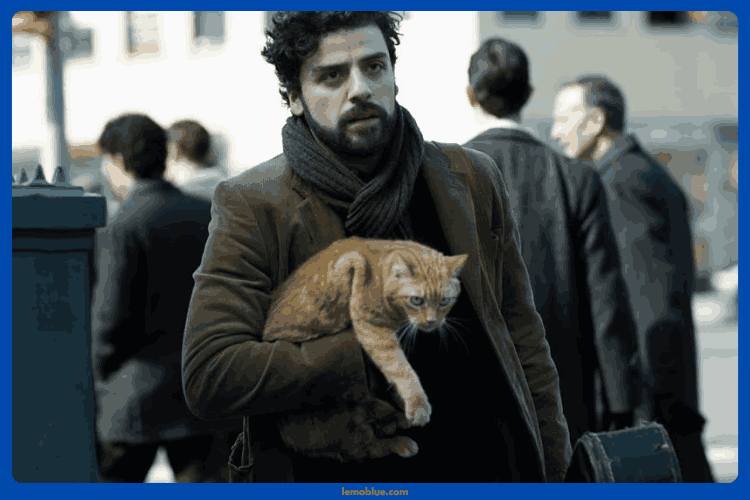 Apa yang digunakan dalam syuting Inside Llewyn Davis?