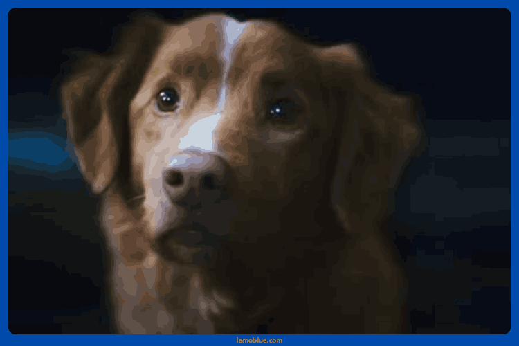 Review Good Boy Horror Movie