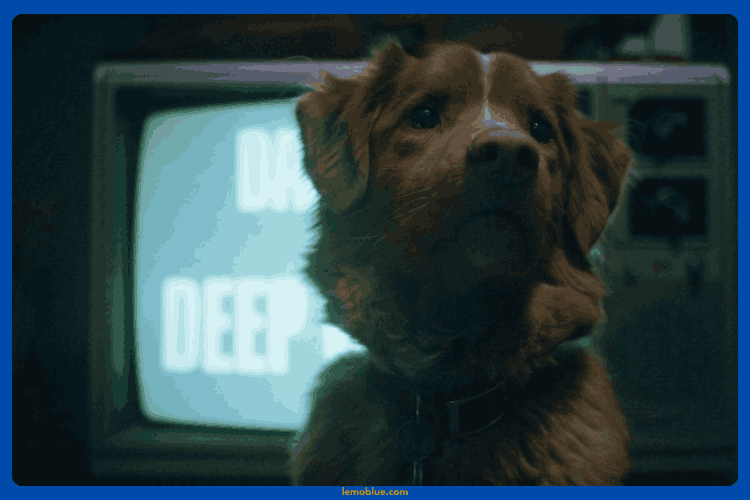 Daftar Pemeran Good Boy Horror Movie