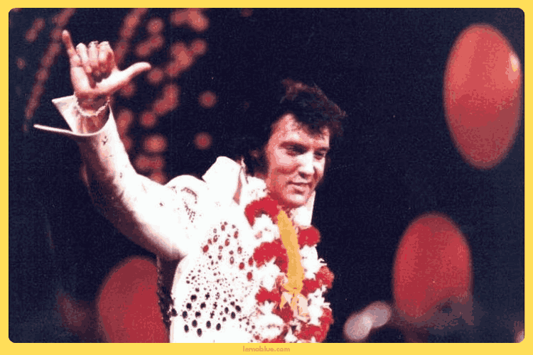 Gaya Vokal pada Lirik Lagu Elvis Presley You're the Devil in Disguise