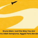 makna lagu Bruno Mars Just the Way You Are