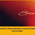 makna lagu senorita shawn mendes dan camilla cabello