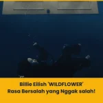 Makna lagu Billie Eilish WILDFLOWER