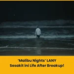 makna lagu Malibu Nights lany