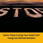 makna lagu oasis stop crying your heart out