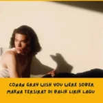 Makna Tersirat di Balik Lirik Lagu Conan Gray Wish You Were Sober