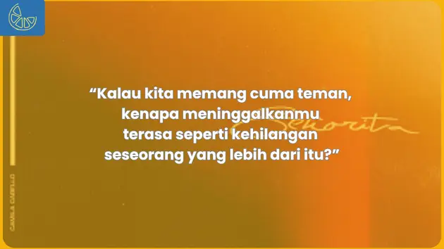 makna lagu senorita shawn mendes tentang apa
