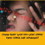 Makna Tersirat di Balik Lirik Lagu Conan Gray Wish You Were Sober