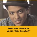 Bruno Mars Just the Way You Are