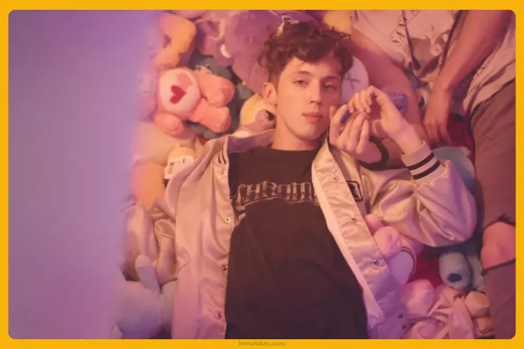 makna dan arti lagu Youth Troye Sivan