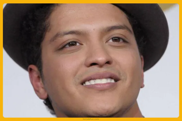 makna Bruno Mars Just the Way You Are