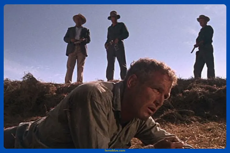 sinopsis Cool Hand Luke