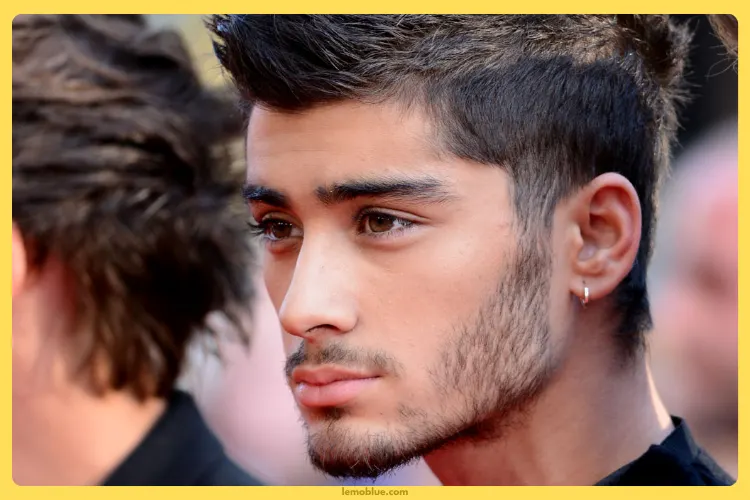 daftar lagu Zayn Malik