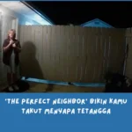 sinopsis The Perfect Neighbor (2025)