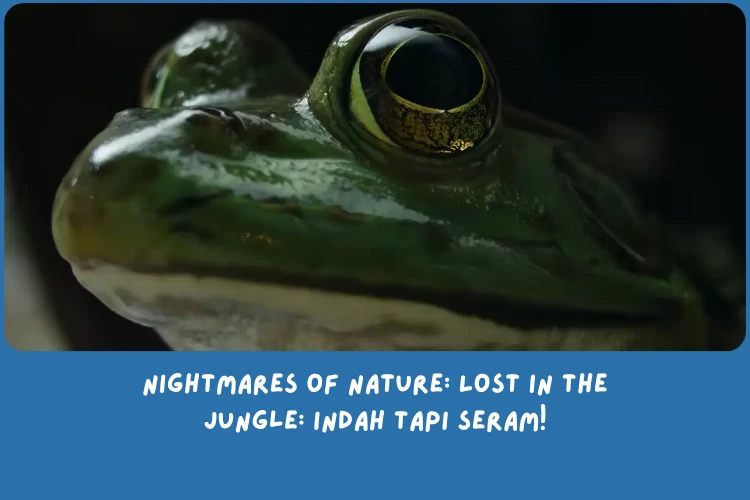 Rekap Nightmares of Nature: Lost in the Jungle
