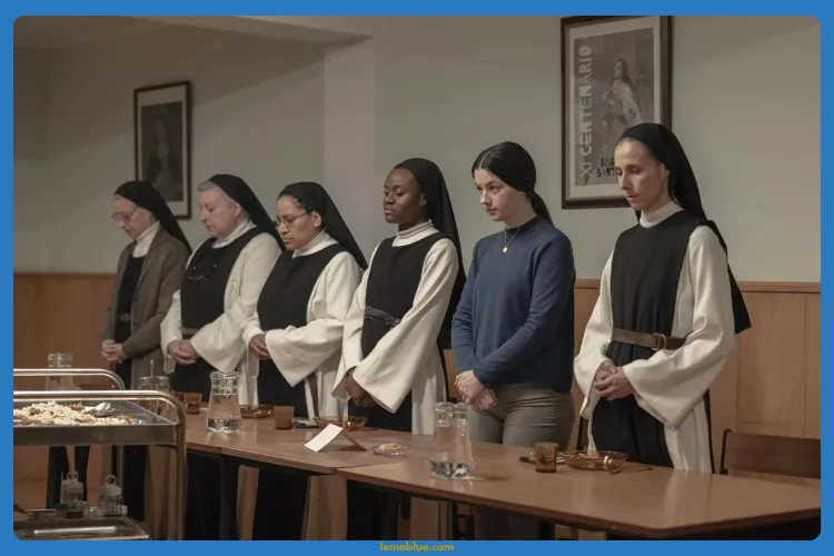 Review Sundays (Los Domingos)