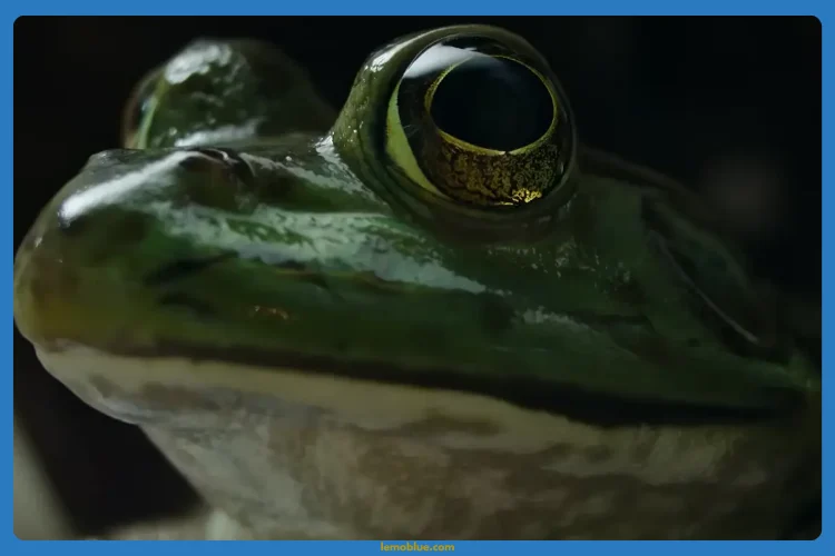Ending Nightmares of Nature: Lost in the Jungle