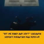 Lagu di Hit Me Hard and Soft