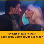 Makna Lagu Sabrina Carpenter Please Please Please