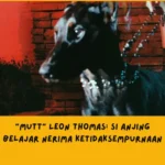 Makna Lagu Mutt Leon Thomas