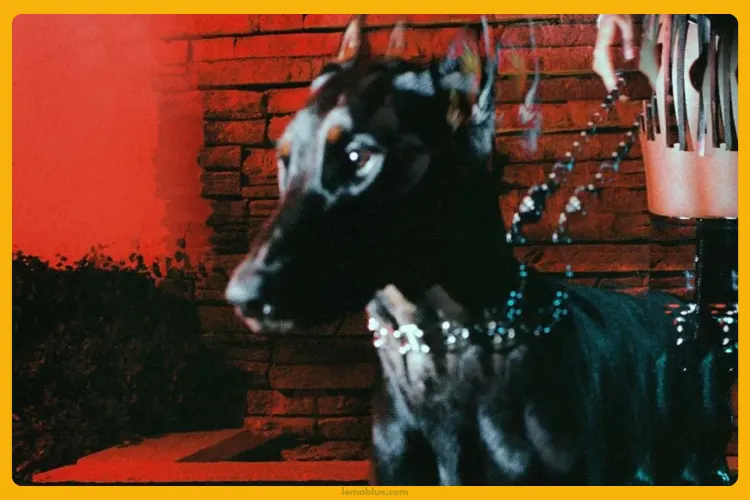 Inspirasi Nyata di Balik Lirik Lagu Mutt Leon Thomas