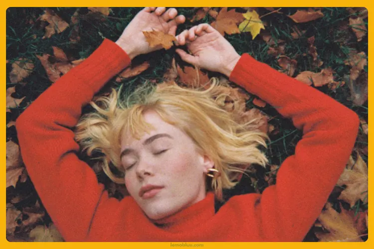 Makna Lagu We Fell In Love in October