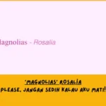 Makna Lagu Magnolias ROSALÍA dari Sudut Pandang Lemo Blue