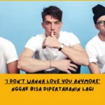 Makna Lagu I Don't Wanna Love You Anymore LANY