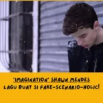 Makna Lagu Imagination Shawn Mendes