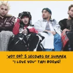 Makna Lagu NOT OK! 5 Seconds of Summer