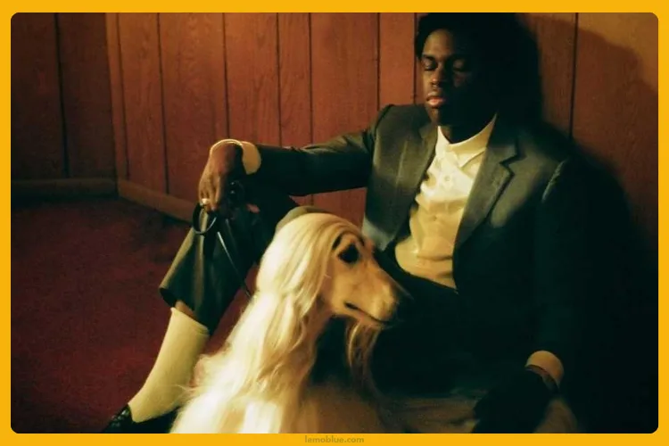 ARE YOU OK? Daniel Caesar arti lagu