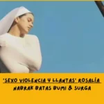 Makna lagu Sexo Violencia y llantas ROSALÍA