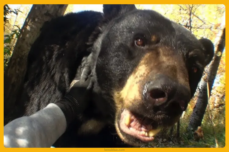 Past Won’t Leave My Bed Joji