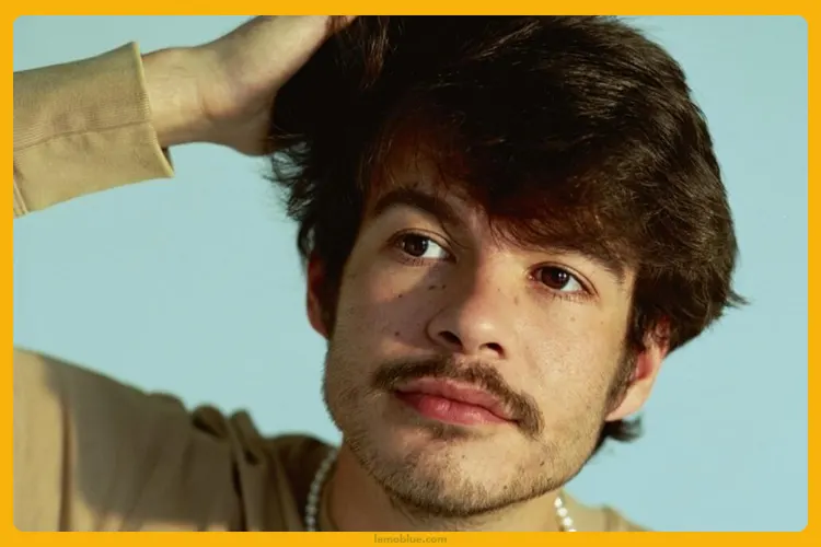 Pluto Projector Rex Orange County tentang apa