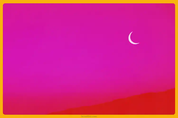 Album Malibu Nights LANY tracklist