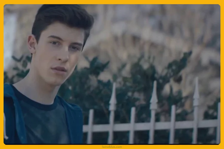 Imagination Shawn Mendes makna