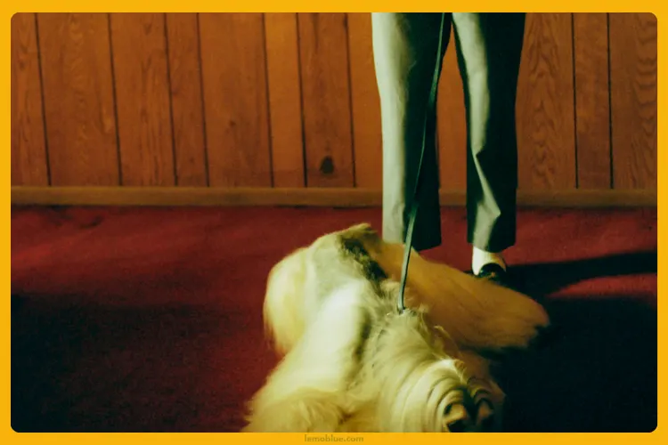 ARE YOU OK? Daniel Caesar makna lagu