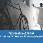 Sinopsis The Cranes Are Flying (Kesimpulan Film) — Cinta yang Terpisah oleh Perang