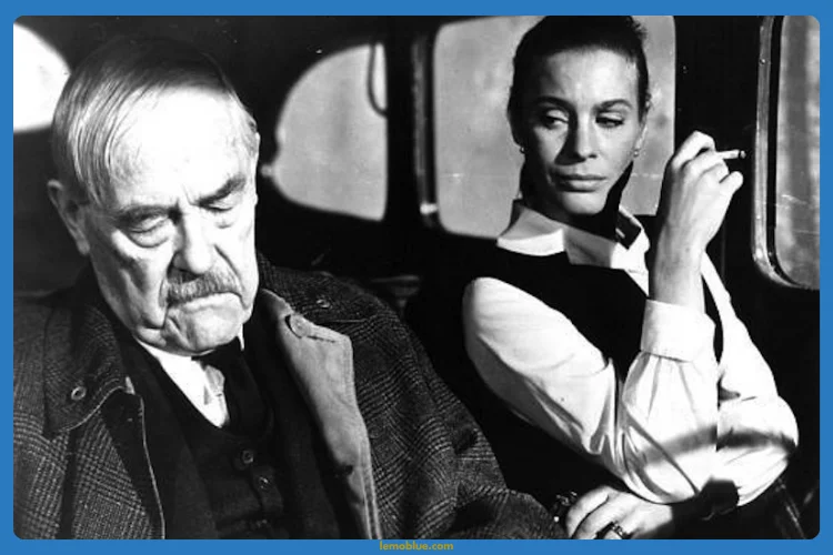 Sinopsis Wild Strawberries  tentang apa