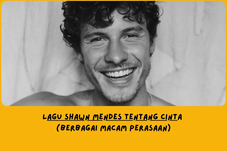 Lagu Shawn Mendes Tentang Cinta (Berbagai Macam Perasaan)