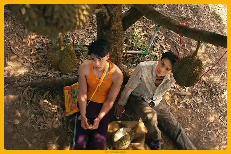 Rain Wedding Jeff Satur makna lagu