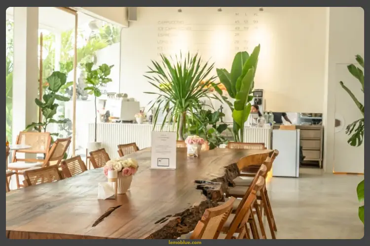 Luxury Hotels & Hospitality Experiences