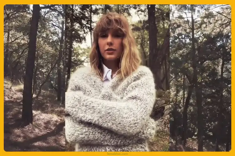 tolerate it Taylor Swift