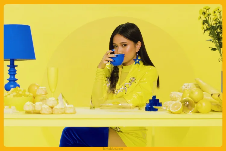 Lowkey NIKI Tentang apa