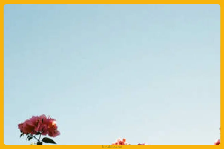 ILYSB LANY makna lagu